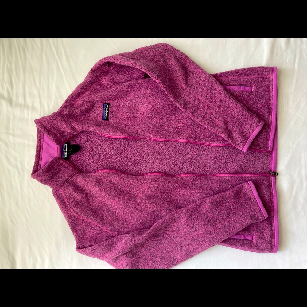 Patagonia Jacket - Basically Perfect Condition! - image 1